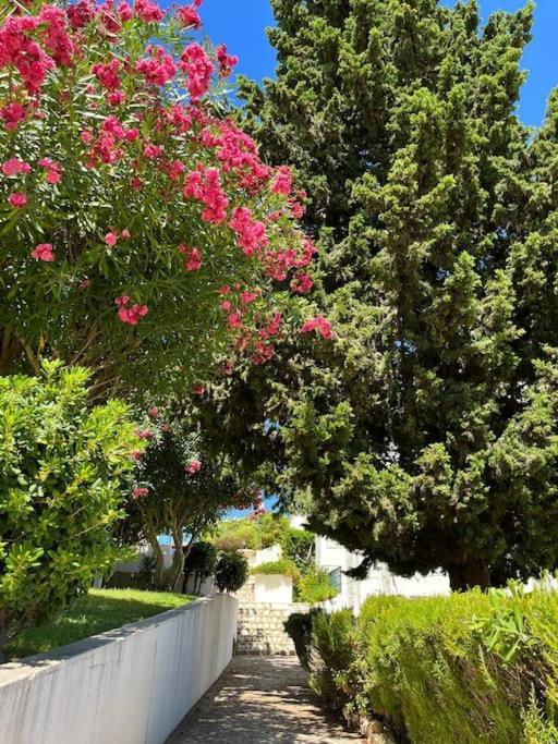 Casa Oliveira - Algarve Apartman Porches  Kültér fotó